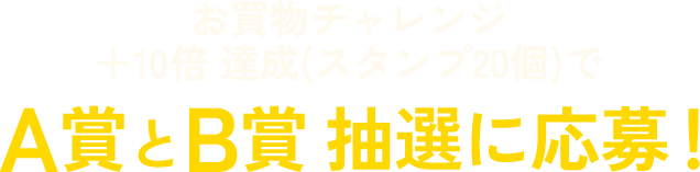 お買物チャレンジ ＋10倍 達成（スタンプ20個）でA賞とB賞 抽選に応募！