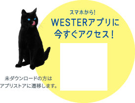 スマホから！WESTERアプリに今すぐアクセス！
