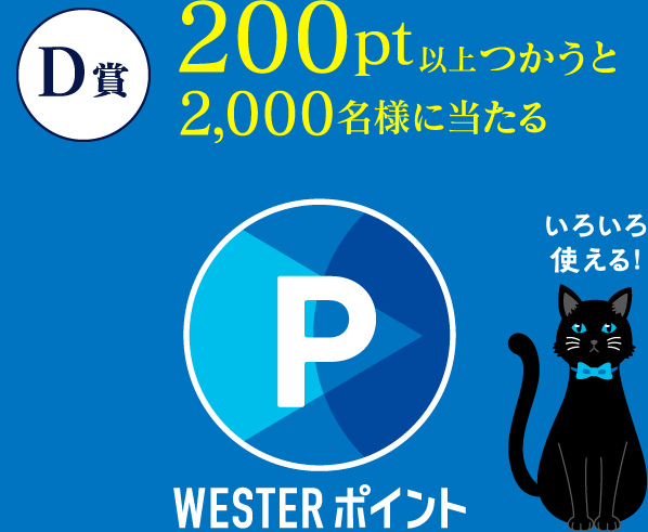 D賞 500ポイント