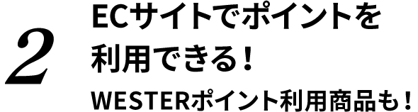 2 ECサイトでポイントを利用できる！