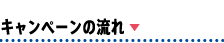 キャンペーンの流れ