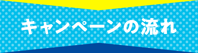 キャンペーンの流れ