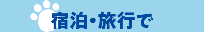 宿泊・旅行で