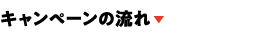 キャンペーンの流れ