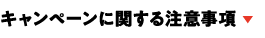キャンペーンに関する注意事項