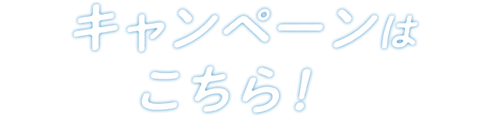 キャンペーンはこちら