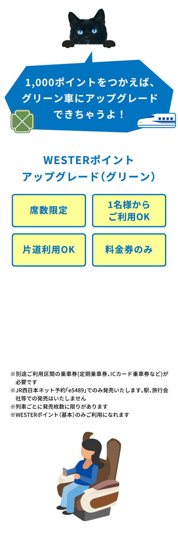 WESTERポイントアップグレード（グリーン）