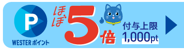 WESTERフェスタ！エントリー受付中！