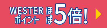WESTERフェスタ